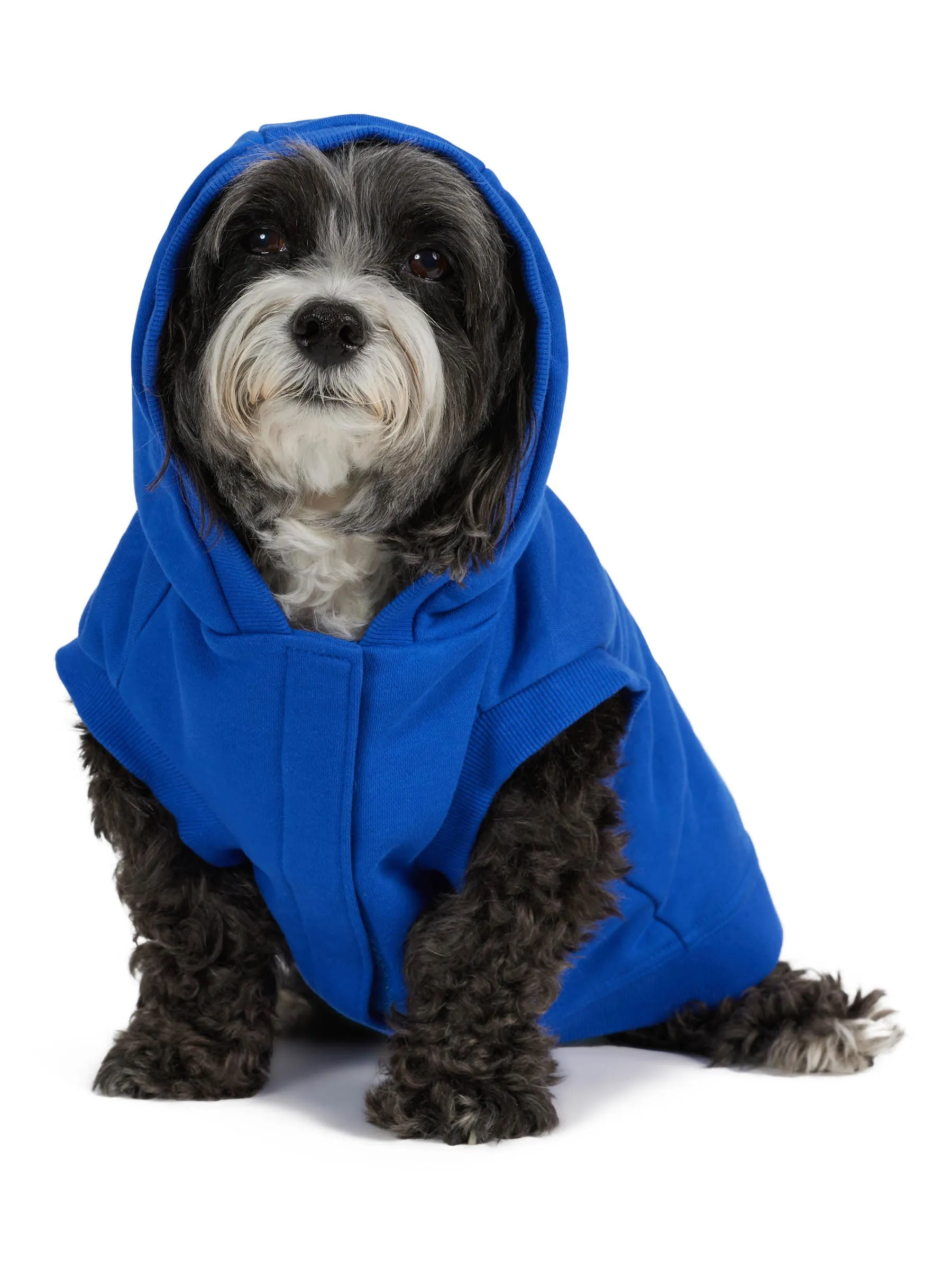 Dash Hoodie for Dogs