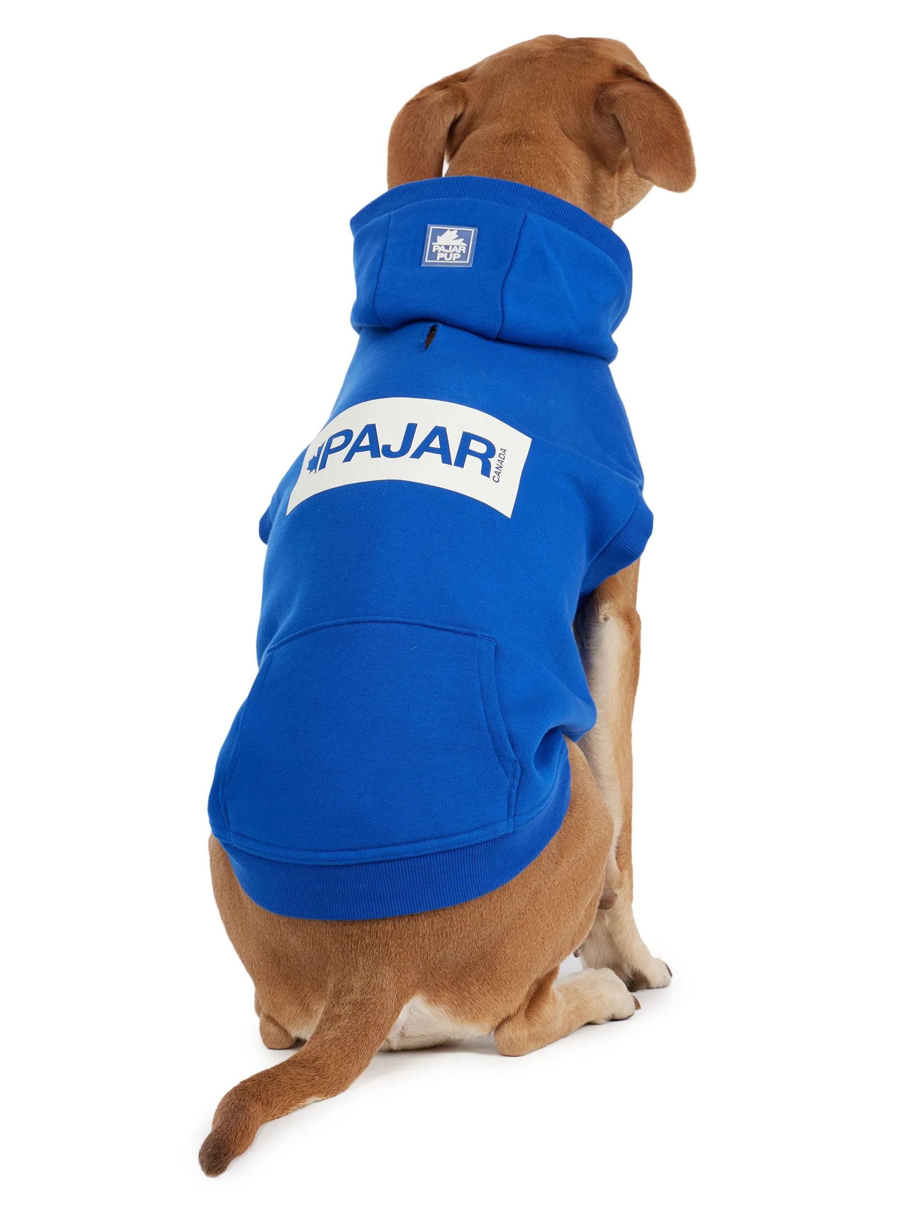 Dash Hoodie for Dogs