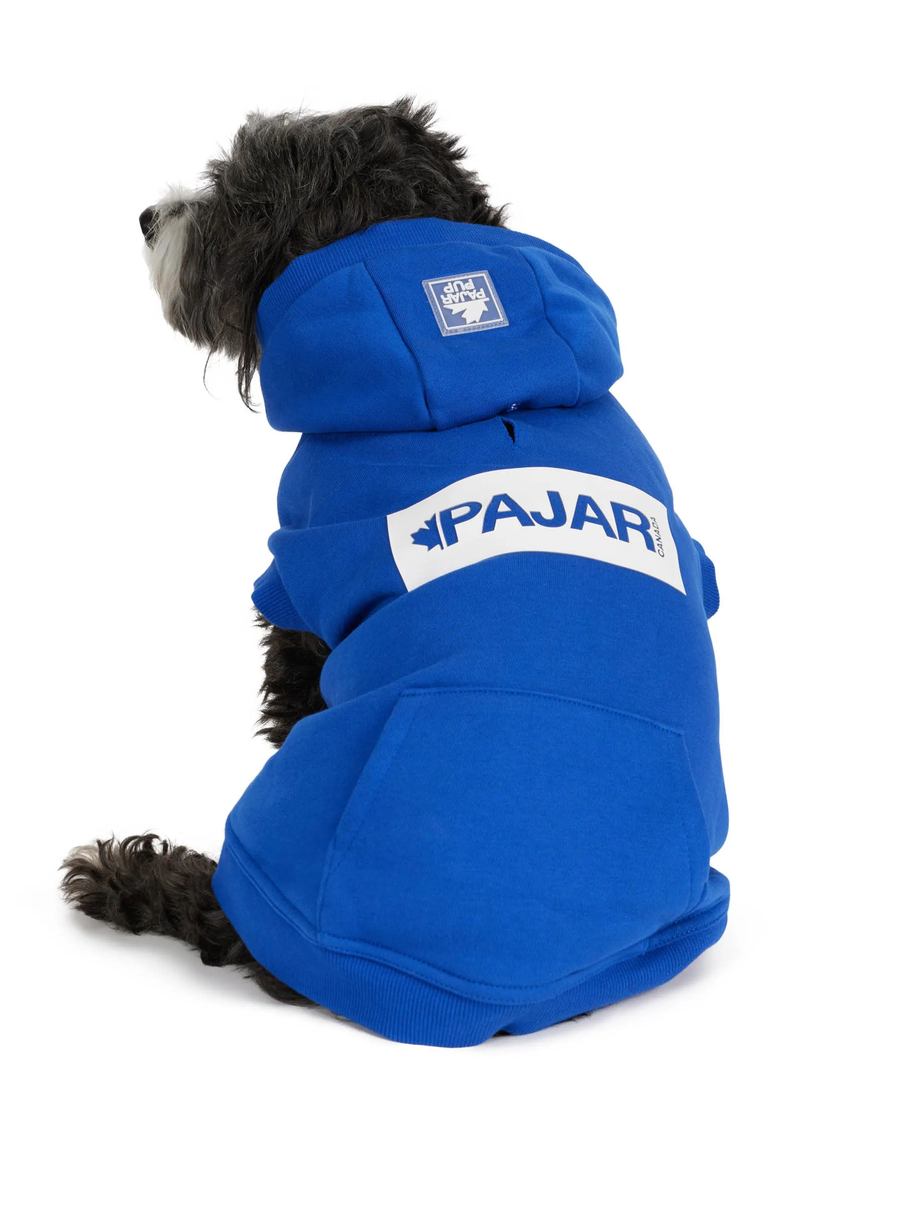 Dash Hoodie for Dogs