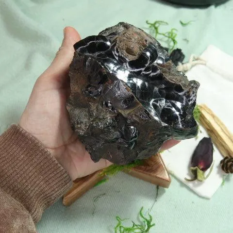 Large Raw Kidney Ore Hematite Specimen ~ Grounding Earthy Vibes