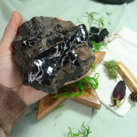 Large Raw Kidney Ore Hematite Specimen ~ Grounding Earthy Vibes