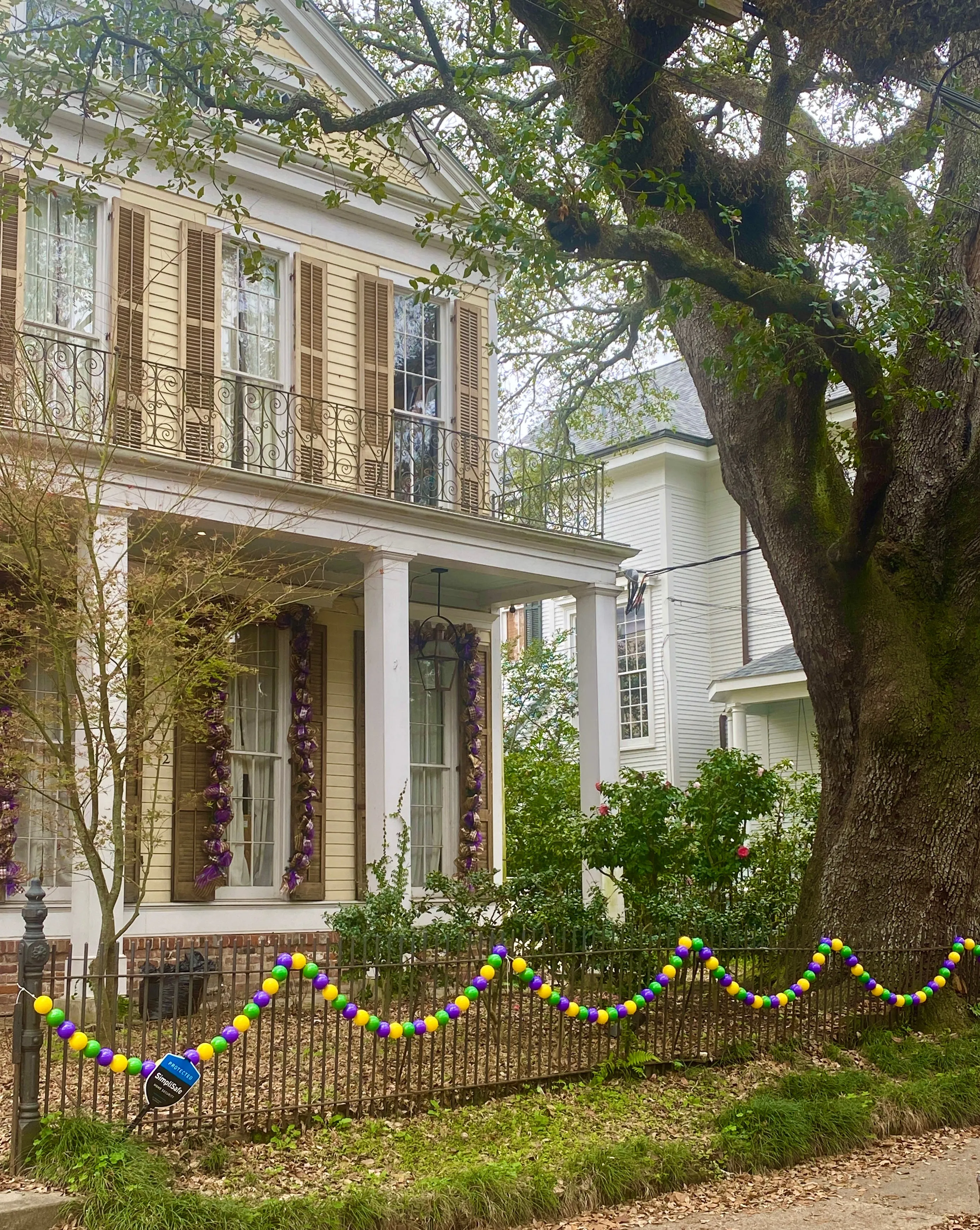 Mardi Gras Bead Garland: 10 ft. Mini beads