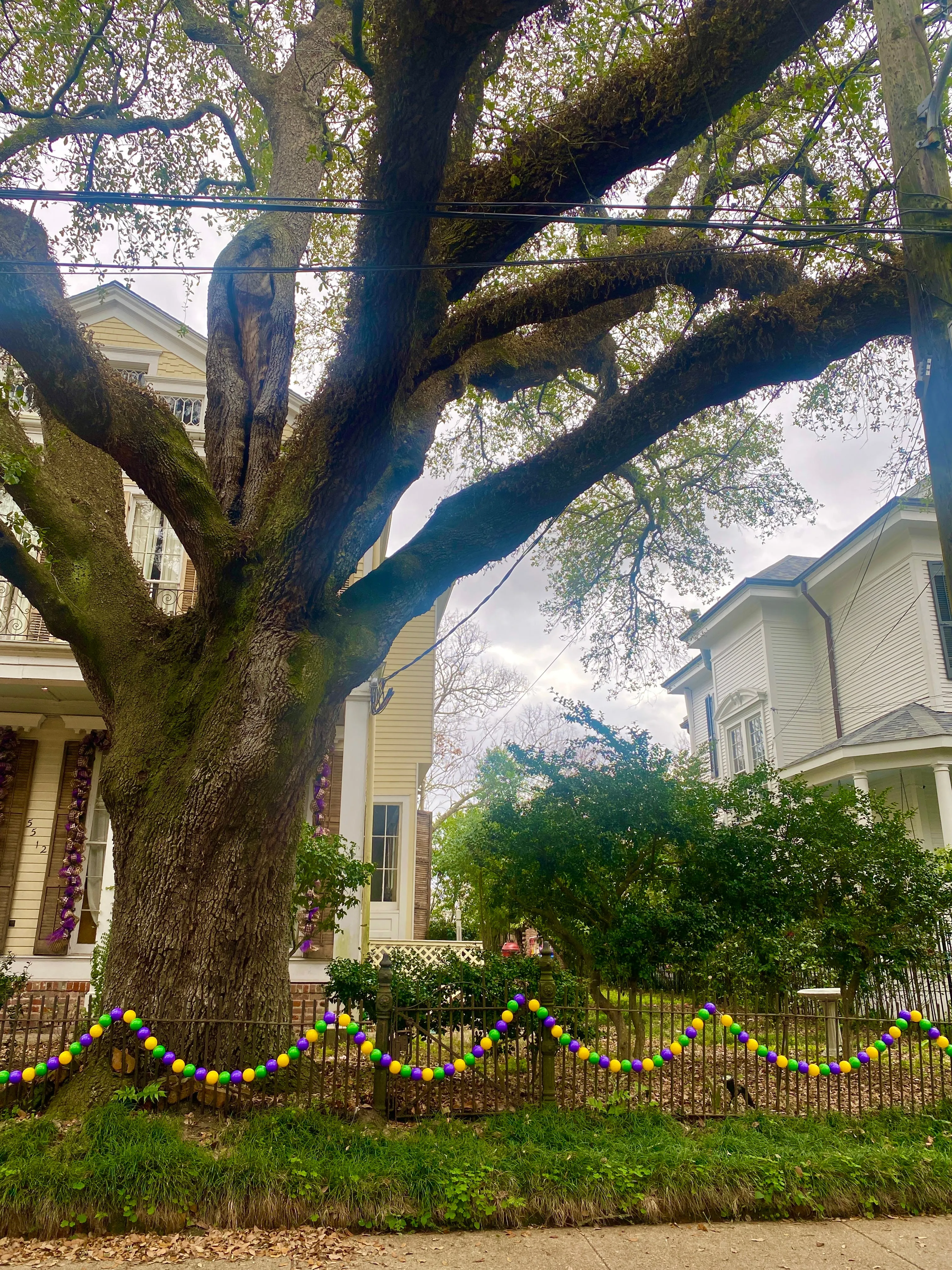 Mardi Gras Bead Garland: 10 ft. Mini beads