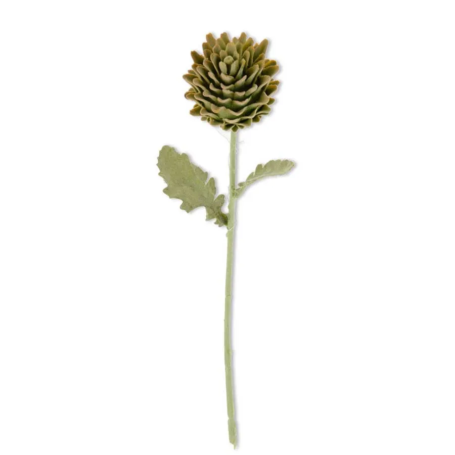 Soft Green Artichoke Stem