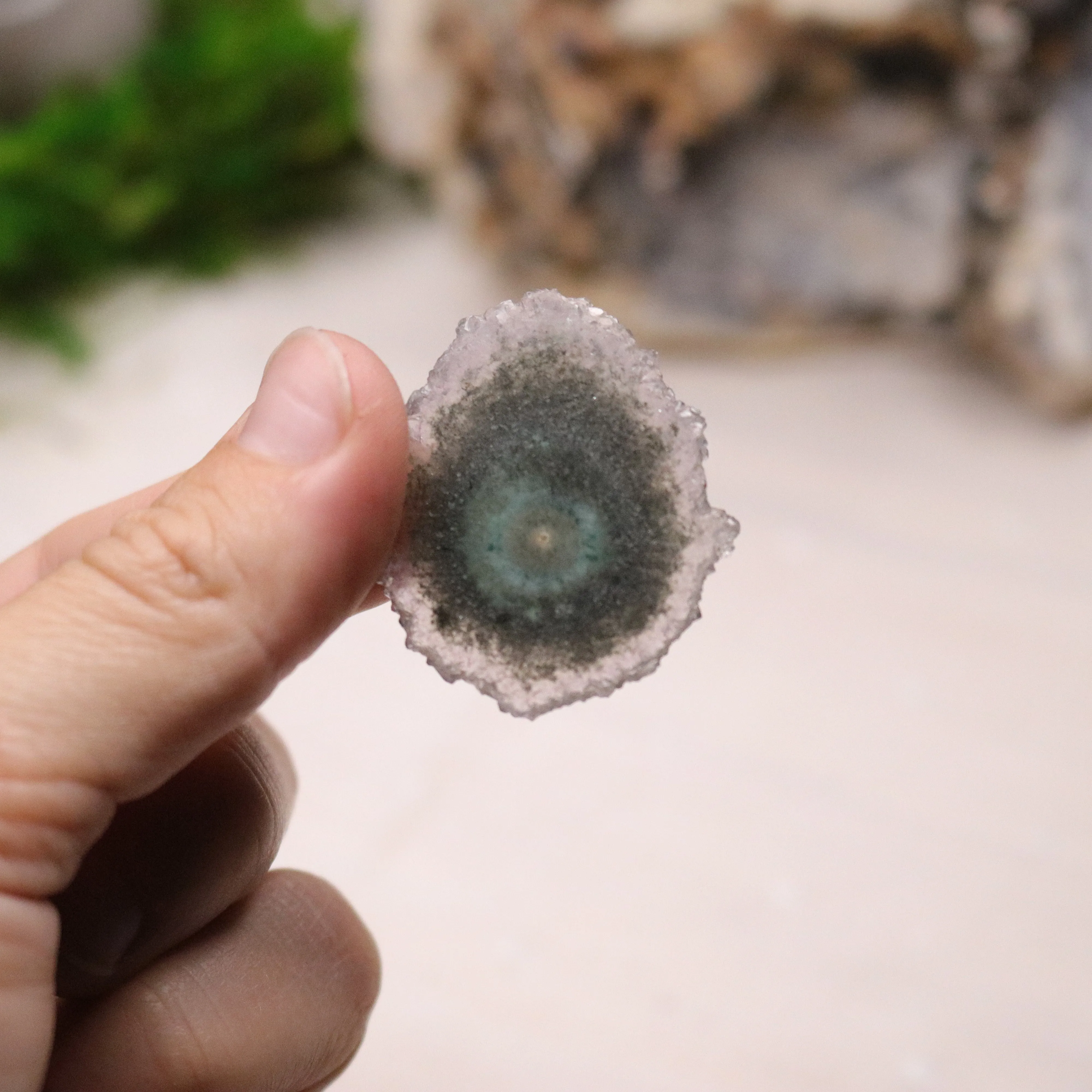 Solar Amethyst Stalactite Slice Specimen~ Expansion of the Higher Self